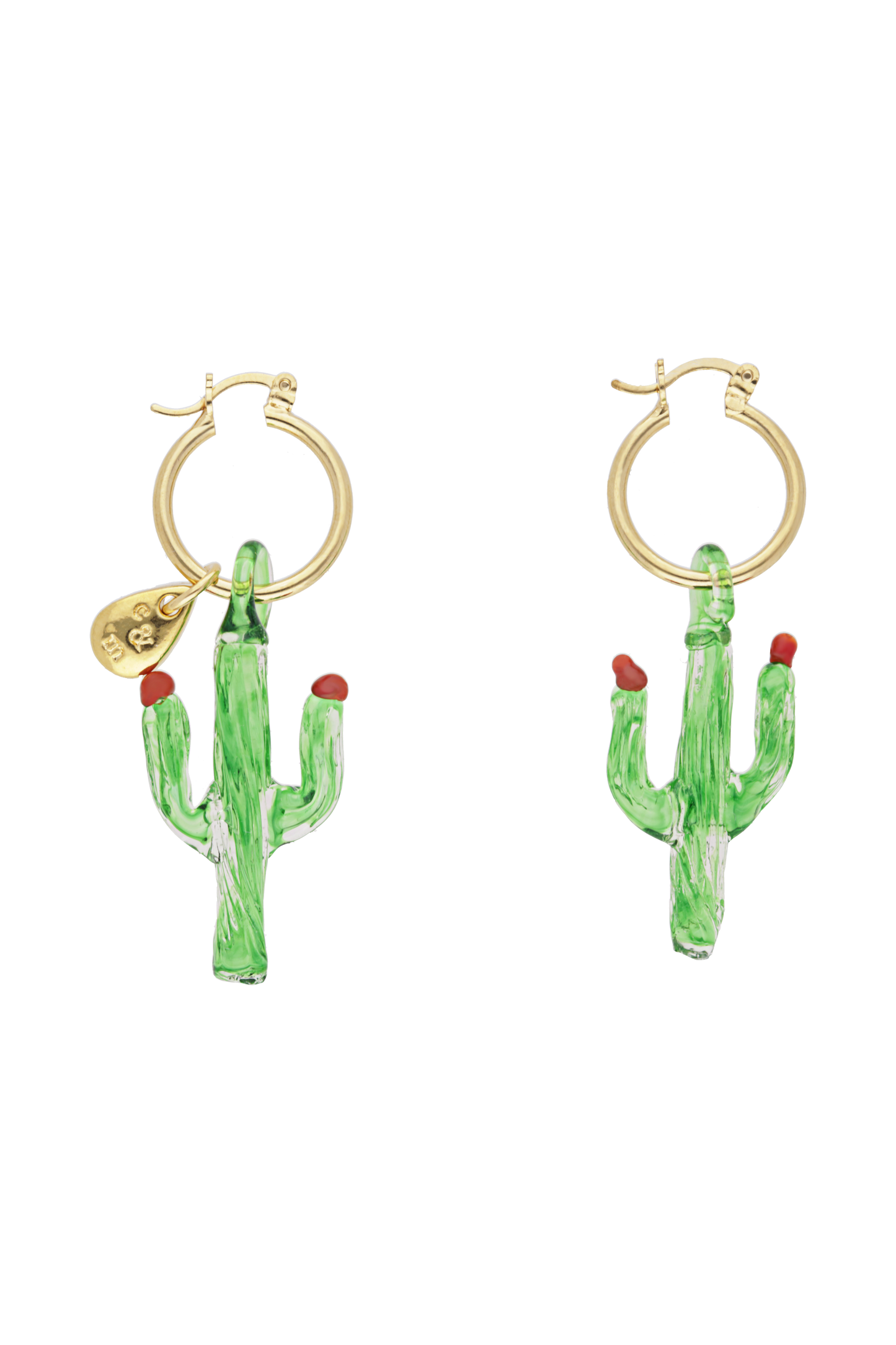Cactus hoops