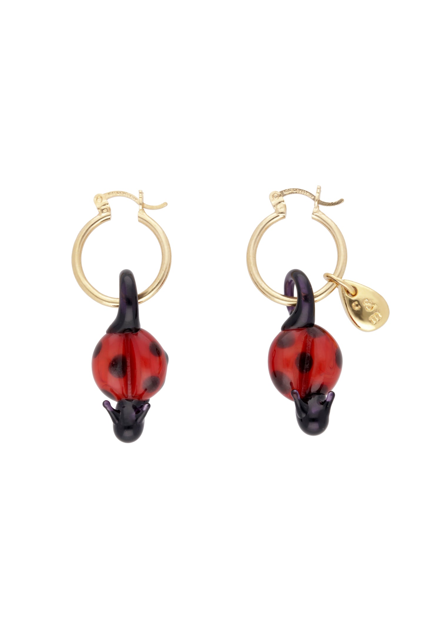 Catarina hoops