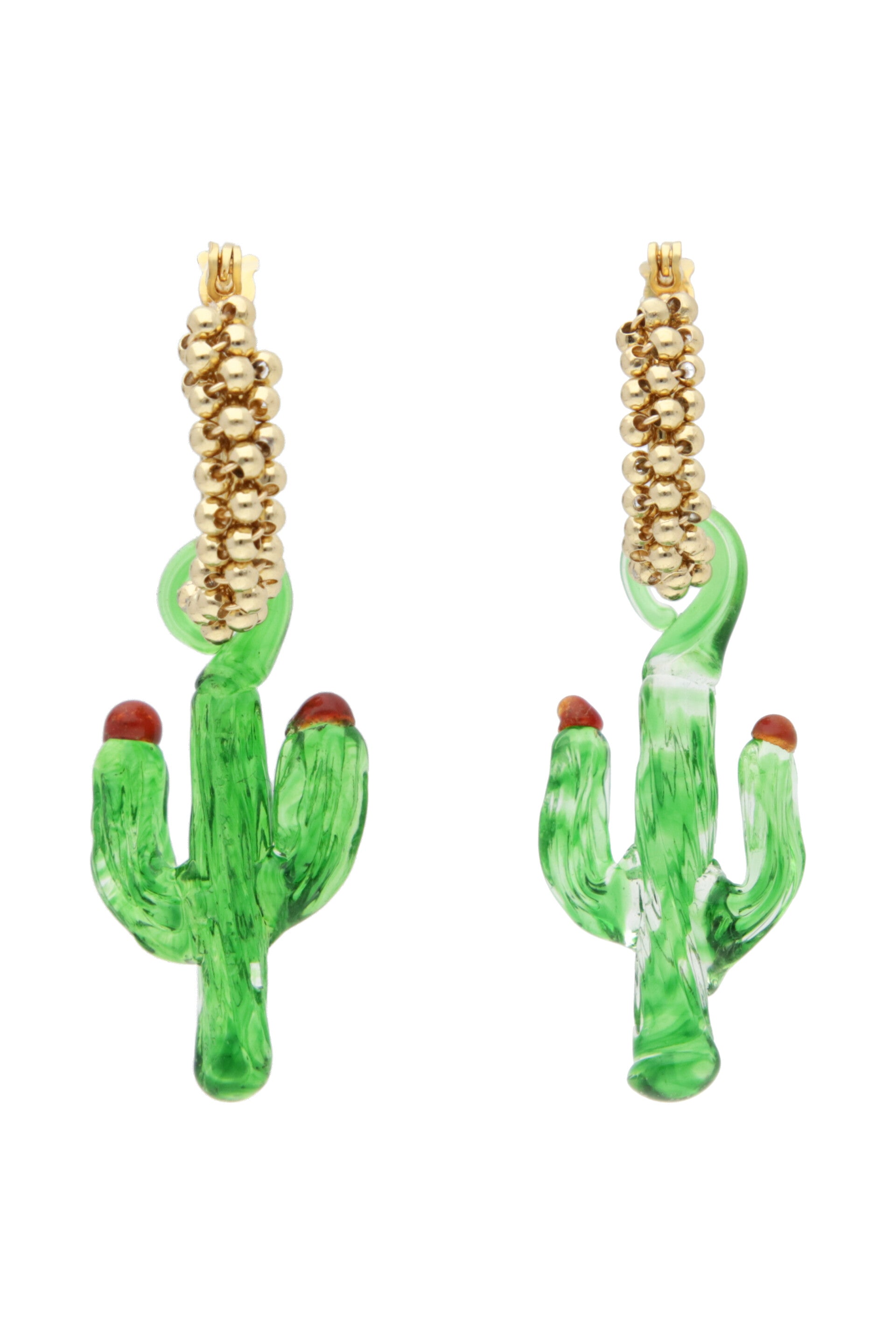Cactus hoops
